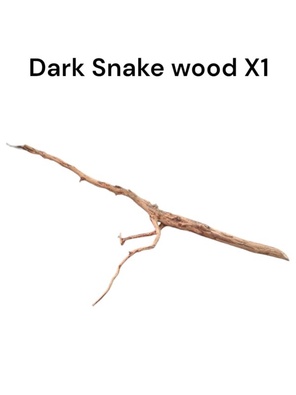 Dark Snake Wood X1